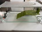 Terrarium voor waterschildpadjes, Enlèvement, Comme neuf