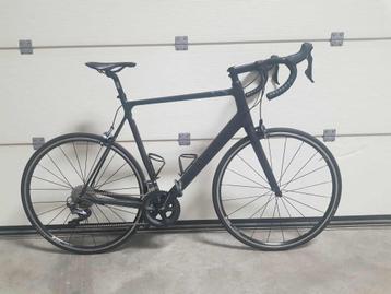 Canyon Endurace CF8 Racefiets 2XL beschikbaar voor biedingen