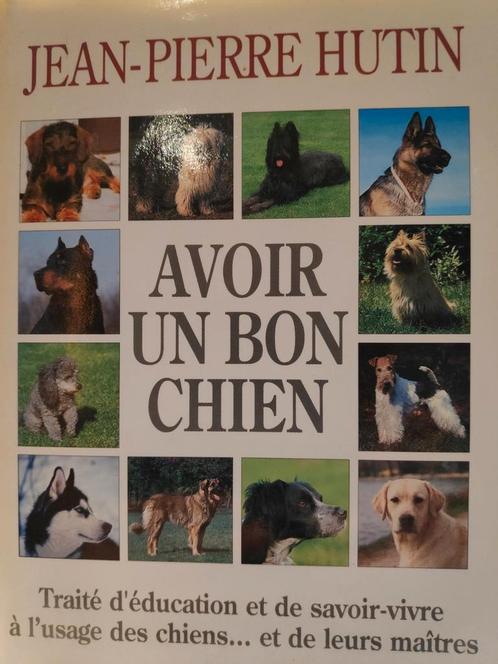 Verschillende boeken over onze vriend de hond, Boeken, Dieren en Huisdieren, Zo goed als nieuw, Ophalen of Verzenden