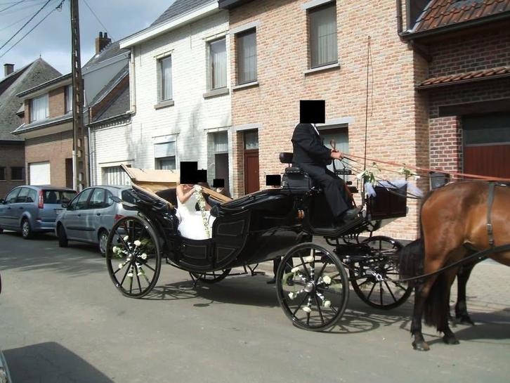 Paarden Koets Rijtuig Grand Luxe gesloten/open, Dieren en Toebehoren, Rijtuigen en Koetsen, Zo goed als nieuw, Overige typen, Paard
