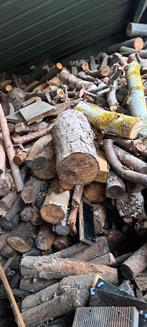 Droog brandhout op maat gezaagd, 6 m³ ou plus, Enlèvement, Autres essences de bois