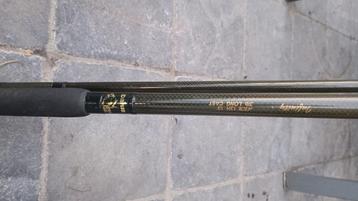 DAIWA AMORPHOUS WHISKER INFINITY+ 13 FT/3 LBS beschikbaar voor biedingen