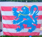 Prachtige Kwaliteitsvlag Stad Brugge 300 x 180 cm, Ophalen of Verzenden