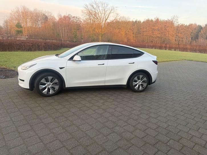 Tesla Model Y RWD – Wit – Zeer nette staat, Auto's, Tesla, Bedrijf, Model Y, 360° camera, ABS, Achteruitrijcamera, Adaptieve lichten