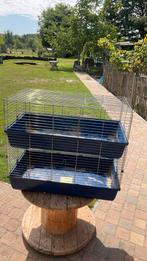 Caviahok, Dieren en Toebehoren, Knaagdieren en Konijnen | Hokken en Kooien, Ophalen, Hamster, 90 cm of meer, Hok