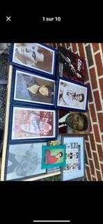 Lot elvis Presley, Ophalen