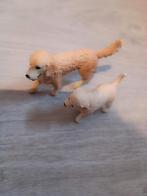 Sleich hond, Verzamelen, Ophalen