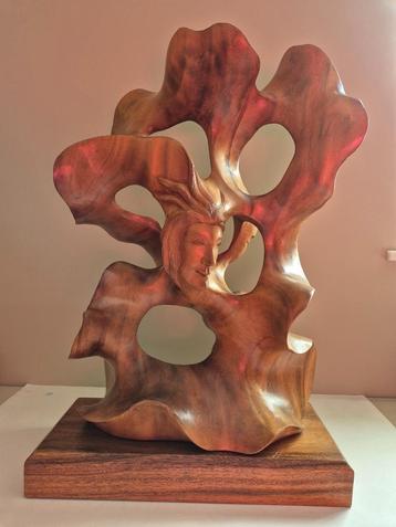 houten kunstwerk PETER TAM , bieden vanaf 120 euro beschikbaar voor biedingen