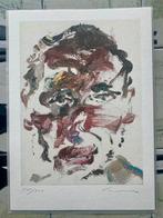 Sam Dillemans, Enlèvement