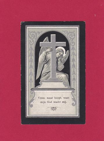 DP Theodoor Keuleers beschikbaar voor biedingen