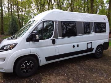 Carado CV 600 Edition 15    bouwjaar 2023 beschikbaar voor biedingen