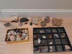 Stenen, Collections, Minéraux & Fossiles, Enlèvement