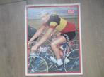 wielerposter  1964 team solo bk ward sels, Collections, Utilisé, Envoi