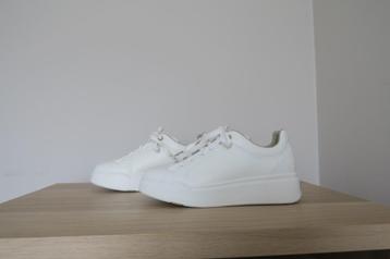 Witte sneakers Max Mara - M 37 beschikbaar voor biedingen