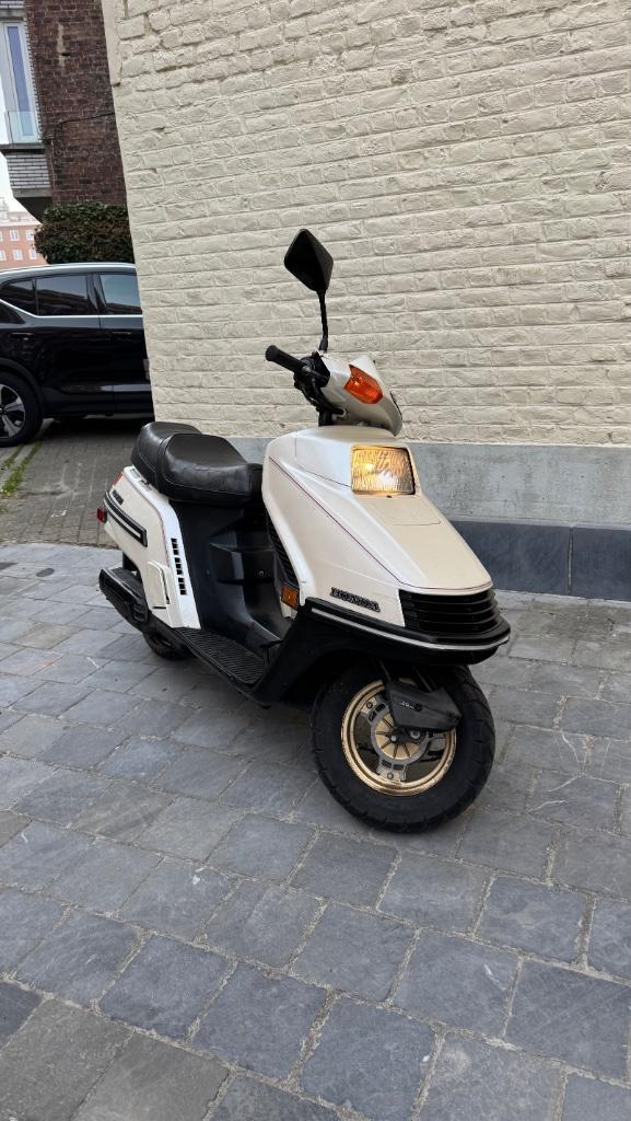 SCOOTER HONDA ELITE 250 / CH 250 / SPACY 250, Motoren, Motoren | Oldtimers, Scooter, 12 t/m 35 kW, 1 cilinder, Motorrijbewijs A