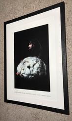 Genummerde en gesigneerde offset Koen Vanmechelen, Antiek en Kunst, Ophalen of Verzenden