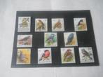 LOTJE POSTZEGELS -  vogels buzin, Ophalen of Verzenden, Postfris, Postfris