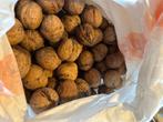 Te koop: verse noten, Ophalen of Verzenden