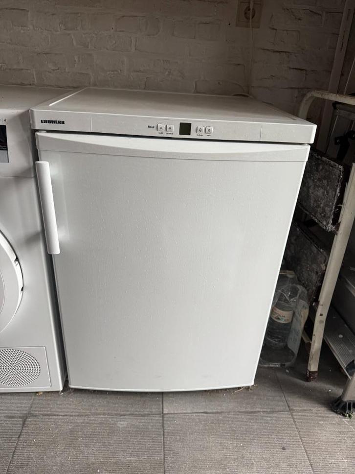 Liebherr GNP 1076-20 Diepvriezer Tafelmodel 99 liter, Elektronische apparatuur, Vriezers en Diepvrieskisten, Zo goed als nieuw