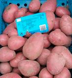 alouette aardappelen, Ophalen