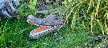 Krokodillenkop fontein,als spuitfiguur of deco,,,,,,,, beschikbaar voor biedingen