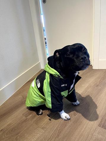 "the north face" style regenjas voor honden beschikbaar voor biedingen