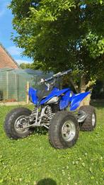 Quad yamaha raptor 250, Motoren