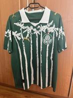 PALMEIRAS 25/26, Sport en Fitness, Maat L, Ophalen of Verzenden, Nieuw, Shirt