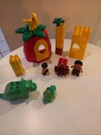 Duplo set met dino, Kinderen en Baby's, Ophalen of Verzenden, Zo goed als nieuw, Duplo