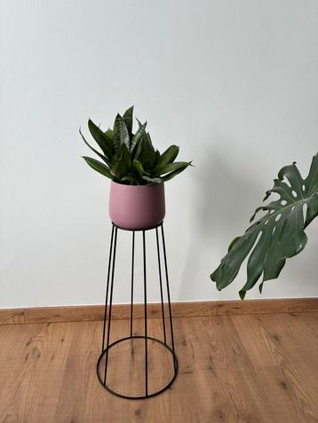 Plantenstandaard zwart beschikbaar voor biedingen