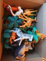 Safaridiertjes, Enlèvement ou Envoi, Utilisé, Garçon ou Fille