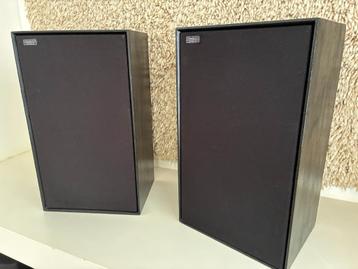 Celestion Ditton 33 - Black beschikbaar voor biedingen
