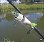 Snoeken Glidebait, Watersport en Boten, Ophalen of Verzenden, Nieuw, Overige typen