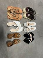 Chaussures, Enlèvement, Porté