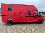 Fait ducato MTM 2013, Animaux & Accessoires, Chevaux & Poneys | Semi-remorques & Remorques, Enlèvement, Comme neuf, Remorque 2 chevaux