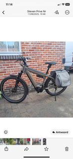 Speed - Pedelec Riese Muüller, Fietsen en Brommers, Elektrische fietsen, Ophalen, Zo goed als nieuw