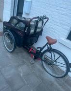 Elektrische Bakfiets Johnny Loco, Ophalen, Gebruikt, Elektrisch, 2 kinderen