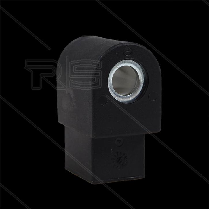 Danfoss Branderspoel 230V 9W voor Oliebrander, Auto diversen, Overige Auto diversen, Verzenden