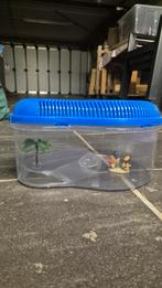Aquarium voor schildpad, Dieren en Toebehoren, Ophalen of Verzenden, Zo goed als nieuw