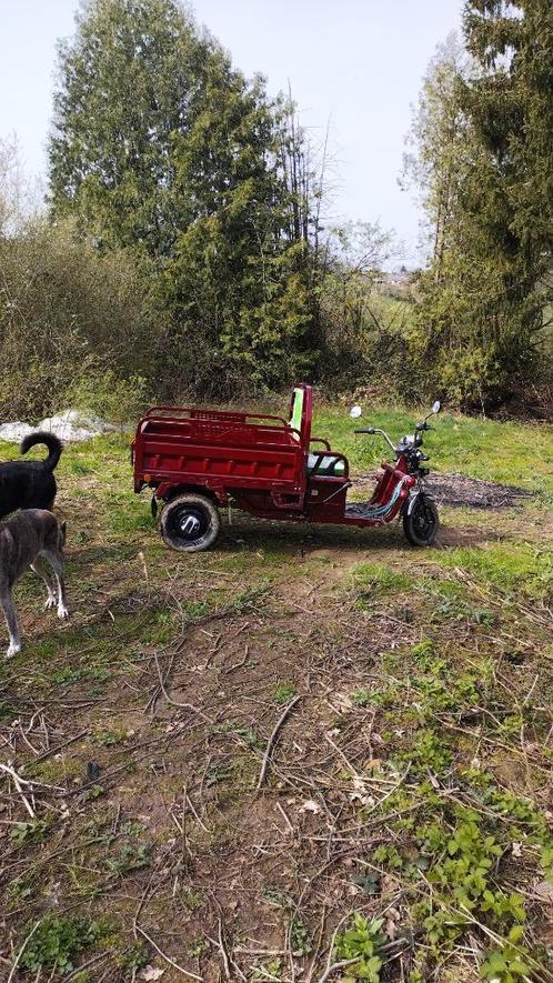 Electric Tuctuc, Fietsen en Brommers, Scooters | Overige merken, Zo goed als nieuw, Klasse A (25 km/u), Elektrisch, Ophalen