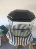 Te koop wegens verhuizing !!, Ophalen, Gebruikt, Leeg aquarium