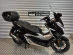 Honda Forza 300 ABS 19KW + Garantie + Gratis onderhoud!, Motoren, Motoren | Honda, Scooter, 300 cc, Bedrijf, Minimaal motorrijbewijs A2