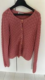 Golfje oud-roze meisjes maat 135/140 H&M, Kinderen en Baby's, Kinderkleding | Maat 134, Meisje, Trui of Vest, H&M, Ophalen of Verzenden