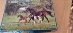 Puzzel  met paarden  compleet 1000 stukjes, Hobby en Vrije tijd, Ophalen, 500 t/m 1500 stukjes, Zo goed als nieuw, Legpuzzel