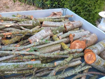 Brandhout, Tuin en Terras, Brandhout, Ophalen