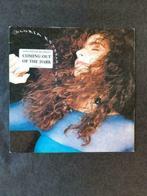 GLORIA ESTAFAN "Into The Light" pop LP (1991), Gebruikt, Ophalen of Verzenden, 1980 tot 2000, 12 inch