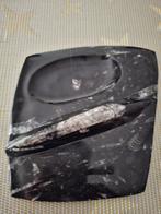 Schaal in fossiel marmer, Ophalen