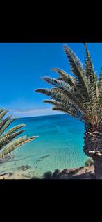 Location appartement Fuerteventura ☀️🏝️🍹