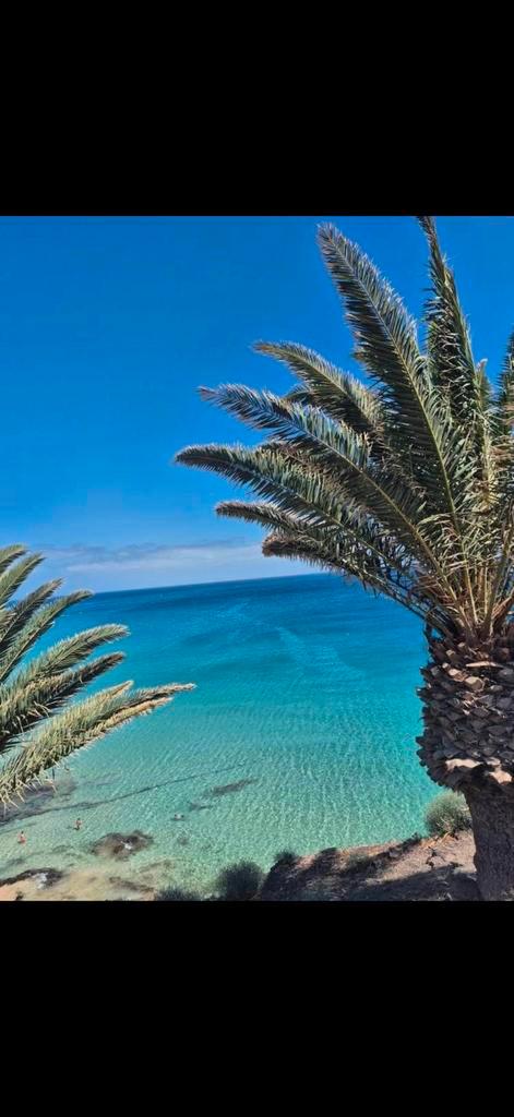 Location appartement Fuerteventura ☀️🏝️🍹, Vacances, Vacances | Soleil & Plage