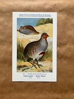 Vogels van België - Reeks 34, Ophalen of Verzenden, Ongelopen, Vogel